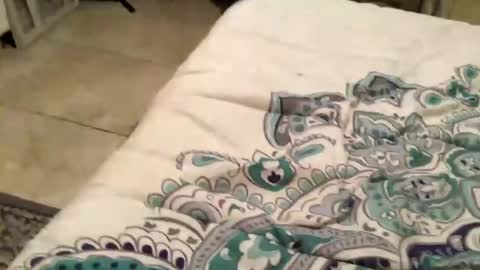 Snapshot of charliebroun chatting on 02-18-25, 06:15 charliebroun online show from 02-18-25, 06:15