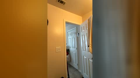 Chase2Attract online show from 03-04-26, 06:03