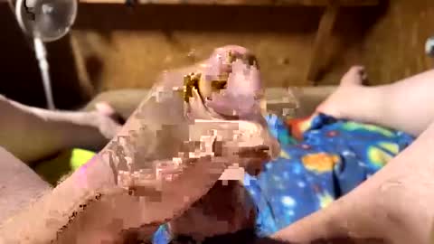 chasepeewee2 online show from 02-16-25, 03:58