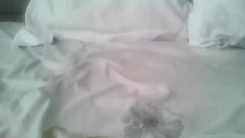 chatusandy26 online show from 02-14-26, 07:05