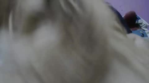 Snapshot of cheliafun chatting on 11-17-25, 02:23 Cheila online show from 11-17-25, 02:23