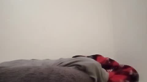 Snapshot of chemicalx_ chatting on 02-04-26, 11:31 ChemicalX online show from 02-04-26, 11:31