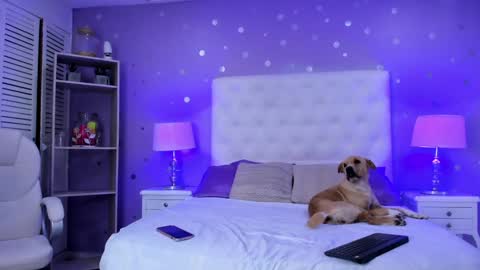 Snapshot of cherry_sussan chatting on 02-01-25, 04:24 Sussan Cherry online show from 02-01-25, 04:24