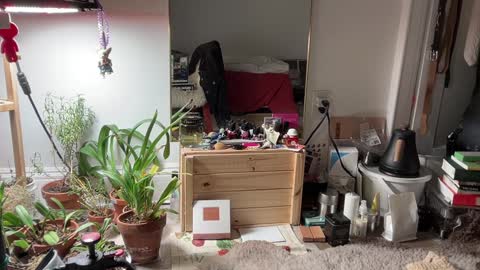 judith online show from 02-03-25, 11:36