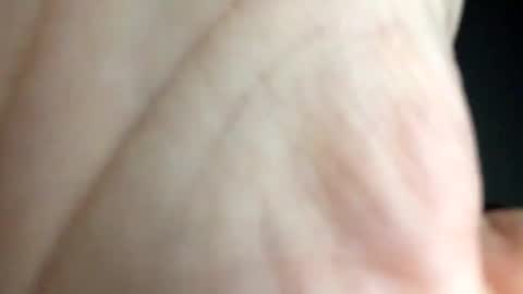 chippytits65 online show from 02-24-25, 05:54