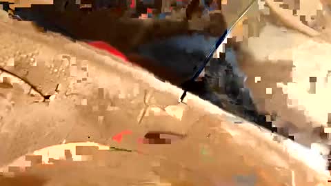 Snapshot of chodaddy737 chatting on 01-13-25, 04:51 CHOdaddy online show from 01-13-25, 04:51