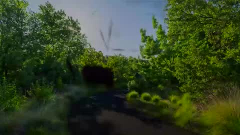 Chris online show from 01-27-25, 08:07