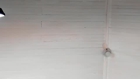 Snapshot of chris_macgregoor chatting on 12-05-24, 05:37 Chriz online show from 12-05-24, 05:37