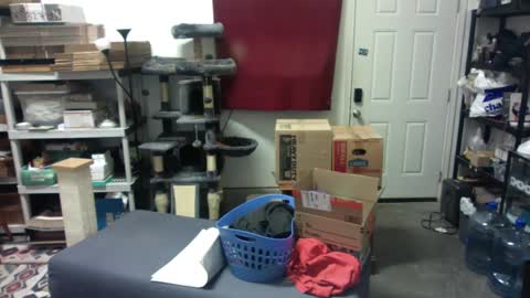 Chris online show from 12-04-24, 05:49