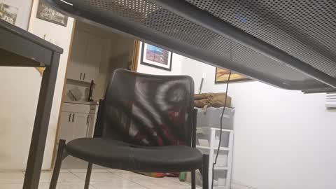 Snapshot of cigneska1 chatting on 03-09-25, 03:32 cigneska1 online show from 03-09-25, 03:32