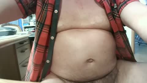 Circus Bear online show from 01-11-25, 02:47