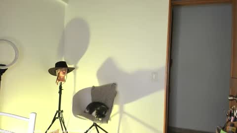 Snapshot of claudiarivera_1 chatting on 10-31-25, 01:06 Claudia Rivera online show from 10-31-25, 01:06