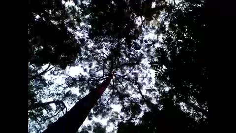 Matriarch Muse online show from 01-26-25, 08:57