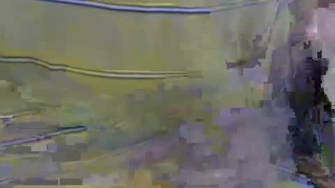 cockreadynow4u online show from 10-22-25, 05:08