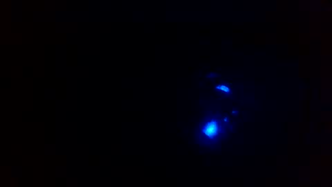 cocksmithog online show from 12-13-24, 05:43