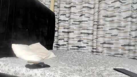 Snapshot of coco_leila chatting on 01-29-25, 04:47 coco_leila online show from 01-29-25, 04:47