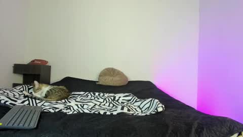 Snapshot of coddy_fit chatting on 11-16-25, 01:49 cody online show from 11-16-25, 01:49