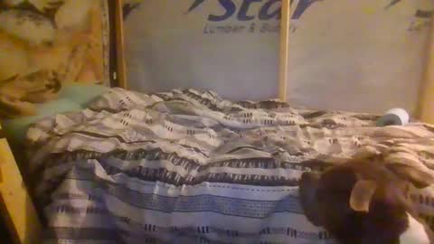 lickerpro69 online show from 02-13-26, 10:33