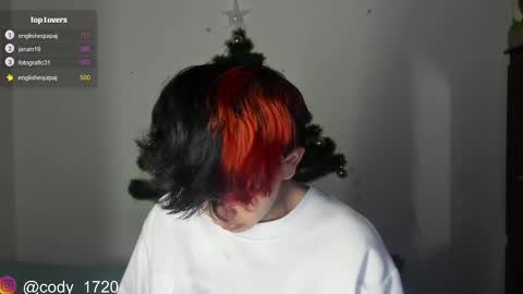 Snapshot of cody_evanss chatting on 12-23-24, 01:18 cody online show from 12-23-24, 01:18