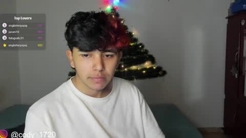 Snapshot of cody_evanss chatting on 12-28-24, 01:17 cody online show from 12-28-24, 01:17