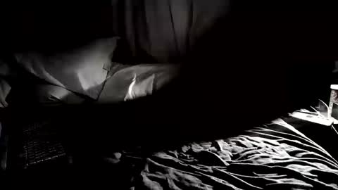 Snapshot of cojax1414 chatting on 09-25-25, 02:04 Mr. Fun Time online show from 09-25-25, 02:04