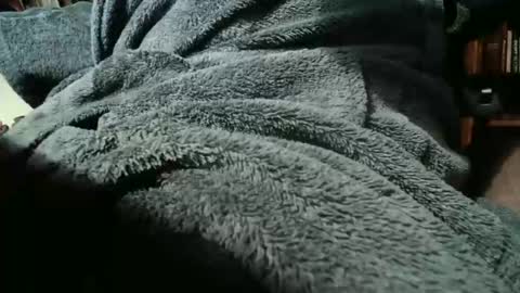 Snapshot of colchuck chatting on 02-20-26, 02:39 colchuck online show from 02-20-26, 02:39