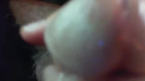 Snapshot of comox1961 chatting on 11-29-25, 05:21 comox online show from 11-29-25, 05:21