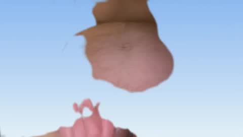 Snapshot of cool_runnings11 chatting on 02-24-26, 07:06 whatever you want it to be online show from 02-24-26, 07:06