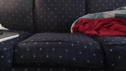 Snapshot of copper_crotch chatting on 11-10-25, 12:09 copper_crotch online show from 11-10-25, 12:09