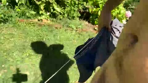 Snapshot of countrymilk chatting on 01-06-25, 02:25 Countrydilf online show from 01-06-25, 02:25