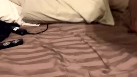 Snapshot of countrystudd chatting on 12-11-24, 08:58 Countrystudd online show from 12-11-24, 08:58