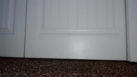 Snapshot of couple049 chatting on 01-02-25, 07:29 Couple049 online show from 01-02-25, 07:29