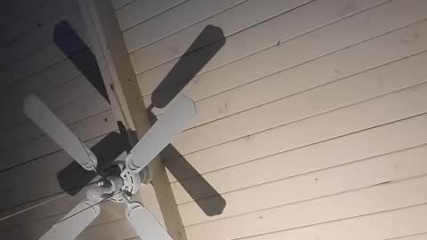 cpdobbs38 online show from 01-11-26, 12:21