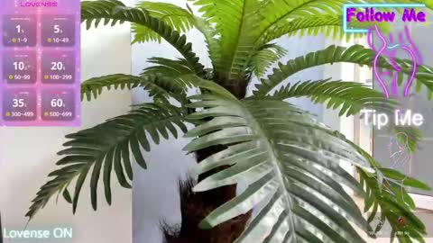 Snapshot of crazy_muscle chatting on 11-10-25, 05:28 tattoodoll online show from 11-10-25, 05:28