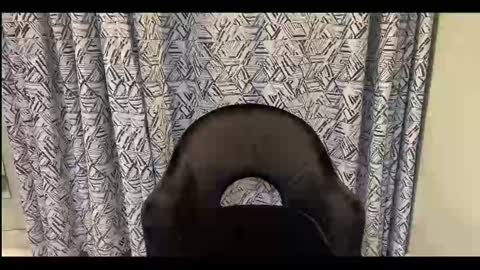 CreamOnMyCakes online show from 09-12-25, 10:04