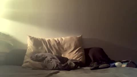 Snapshot of cricri75020 chatting on 11-11-25, 01:49 cricri75020 online show from 11-11-25, 01:49