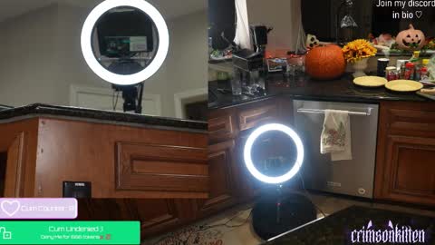 Crimson Kitten online show from 11-27-25, 04:25