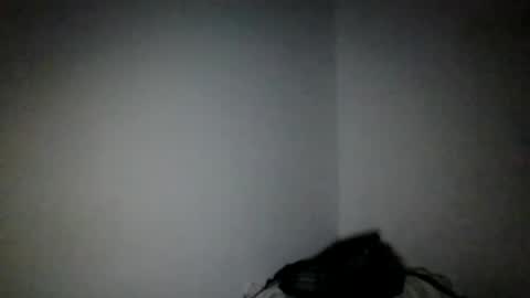 cris_master_ online show from 09-23-25, 01:52
