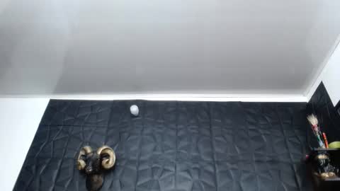 Hanna  online show from 02-26-26, 10:25