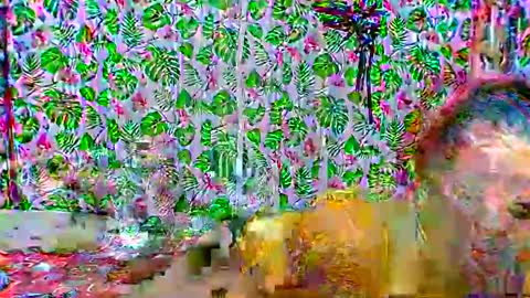 Snapshot of cristine316 chatting on 02-25-25, 05:19 cristine316 online show from 02-25-25, 05:19