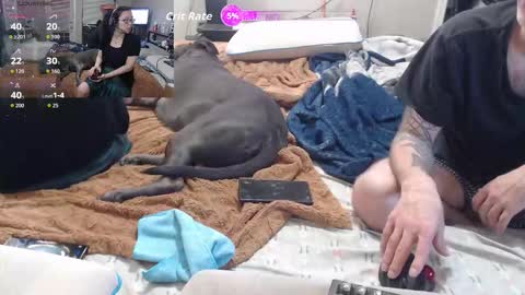 Snapshot of crownandkat chatting on 03-02-26, 11:33 Crownandkat online show from 03-02-26, 11:33