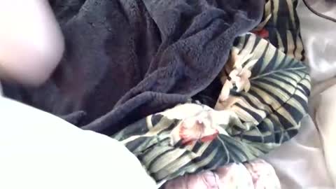 Snapshot of crucifux69 chatting on 01-30-25, 08:31 Crucifux online show from 01-30-25, 08:31