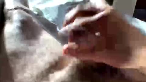 Crushit online show from 01-10-26, 05:04