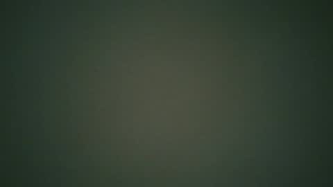 ctbddc online show from 12-24-24, 09:17