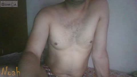 Noha online show from 04-08-26, 07:08