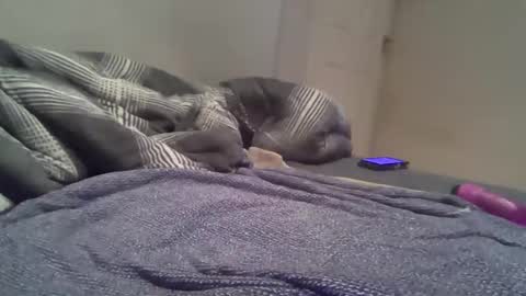 Snapshot of cummbumm69 chatting on 02-14-26, 08:16 cummbumm69 online show from 02-14-26, 08:16