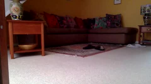 cumonherguys online show from 11-06-25, 08:04