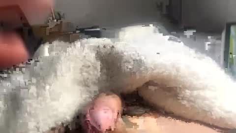 cumonmyf33t online show from 02-22-25, 12:19