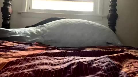 Snapshot of curiousperformance chatting on 12-04-24, 01:53 Curiousperformance online show from 12-04-24, 01:53