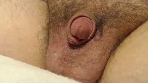 curve66 online show from 12-04-25, 03:38